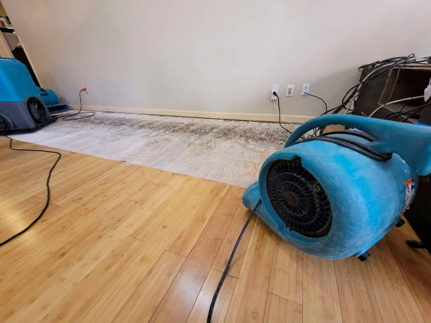 Professional Emergency Water Damage technician working in Troy, PA